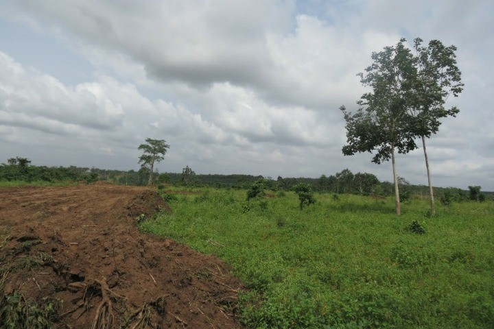 Terrain viabilisé 800m² à Bingerville avec titre foncier